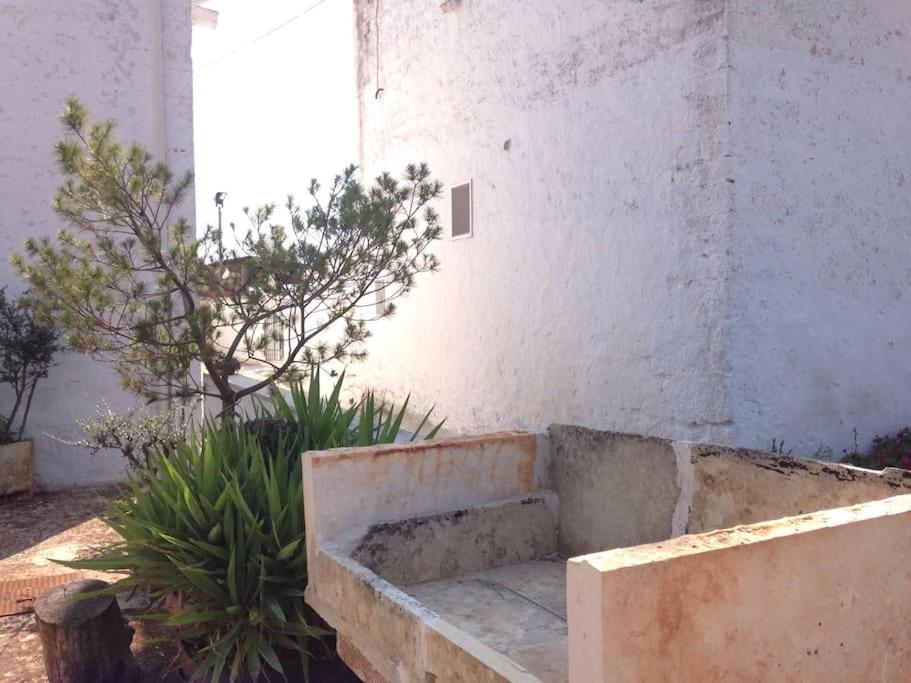 Casa Stella Nell'Aia Villa Cisternino Dış mekan fotoğraf